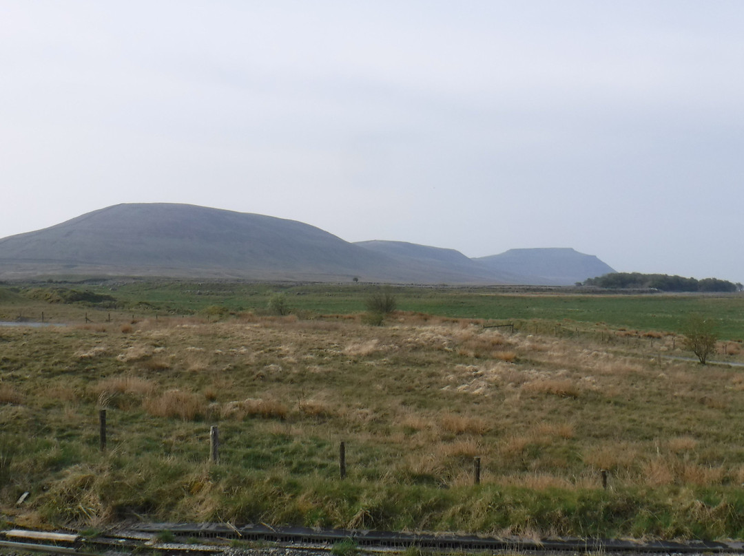 The Station Inn主图