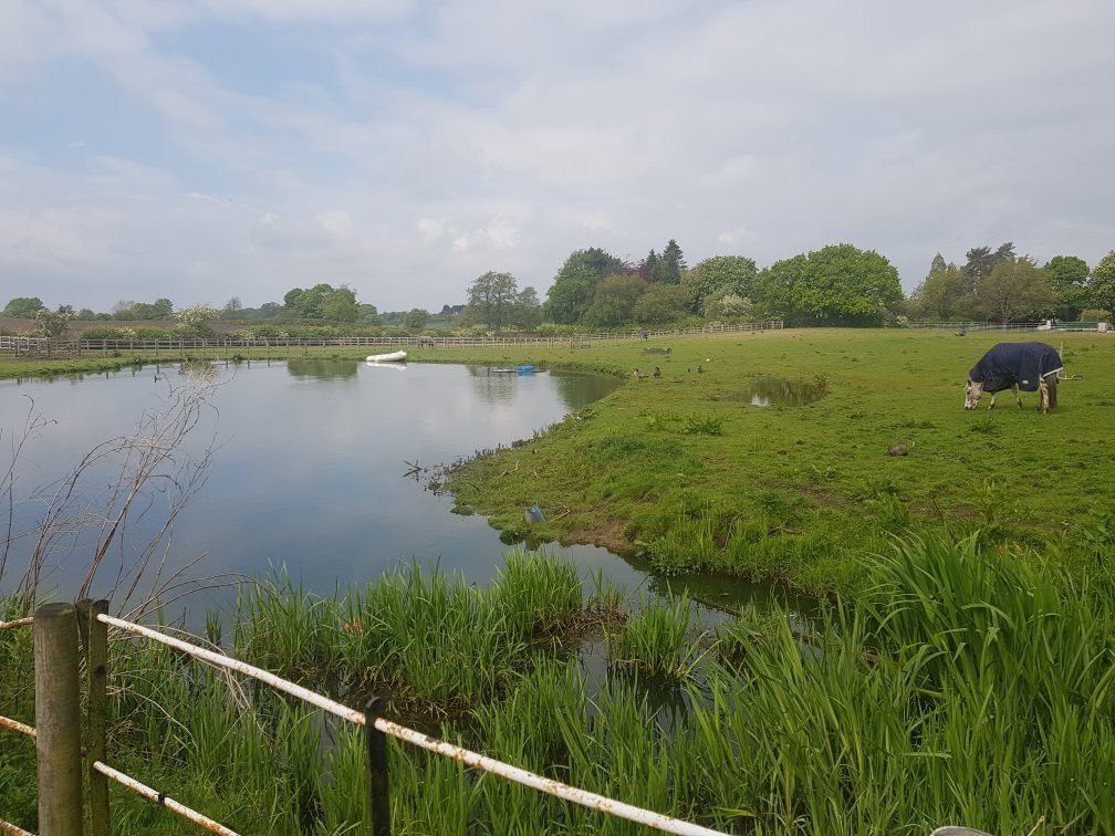 Whitethorn Farm Bed & Breakfast主图