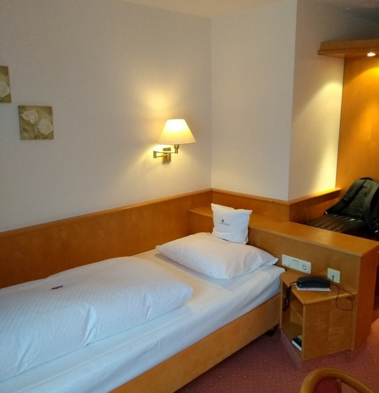 Hotel Lamm Hebsack主图