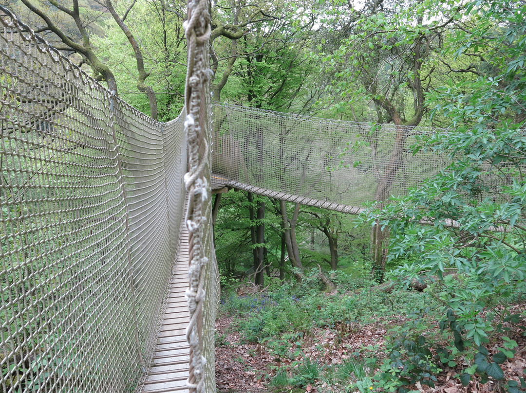 RSPB Coombes Valley Nature Reserve景点图片