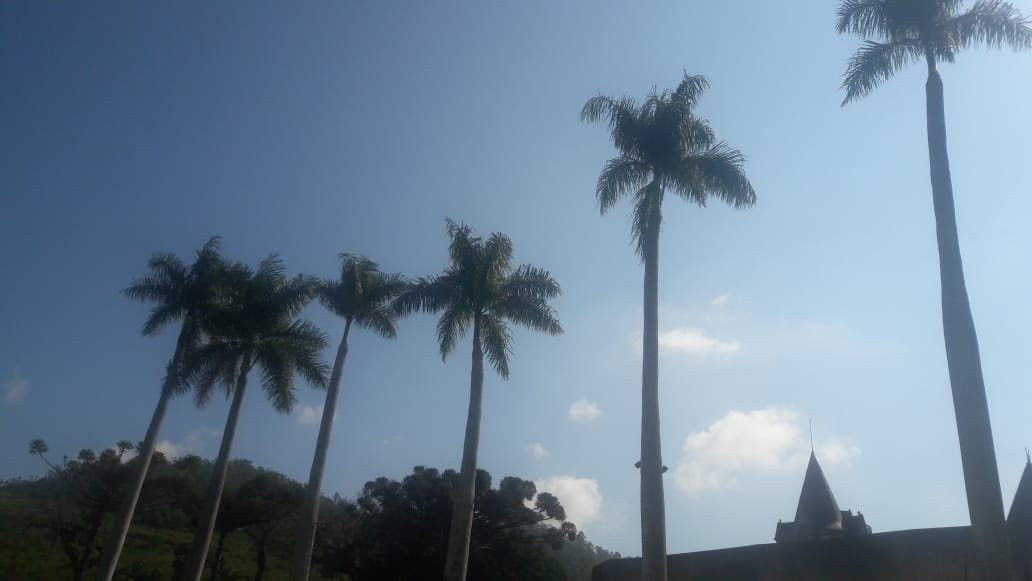 Largo Das Palmeiras Imperiais-彼得罗波利斯必去景点