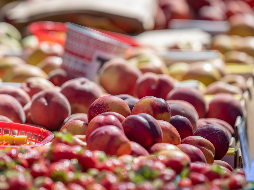 Lake Oswego Farmers' Market-莱克奥斯韦戈必去景点