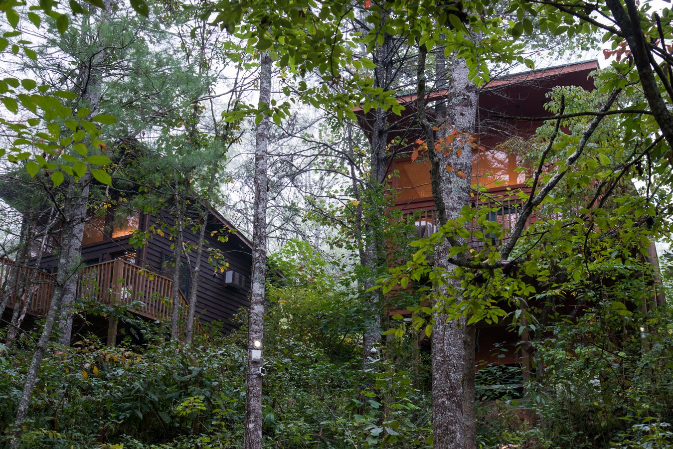 Rivers Edge Treehouse Resort-官方