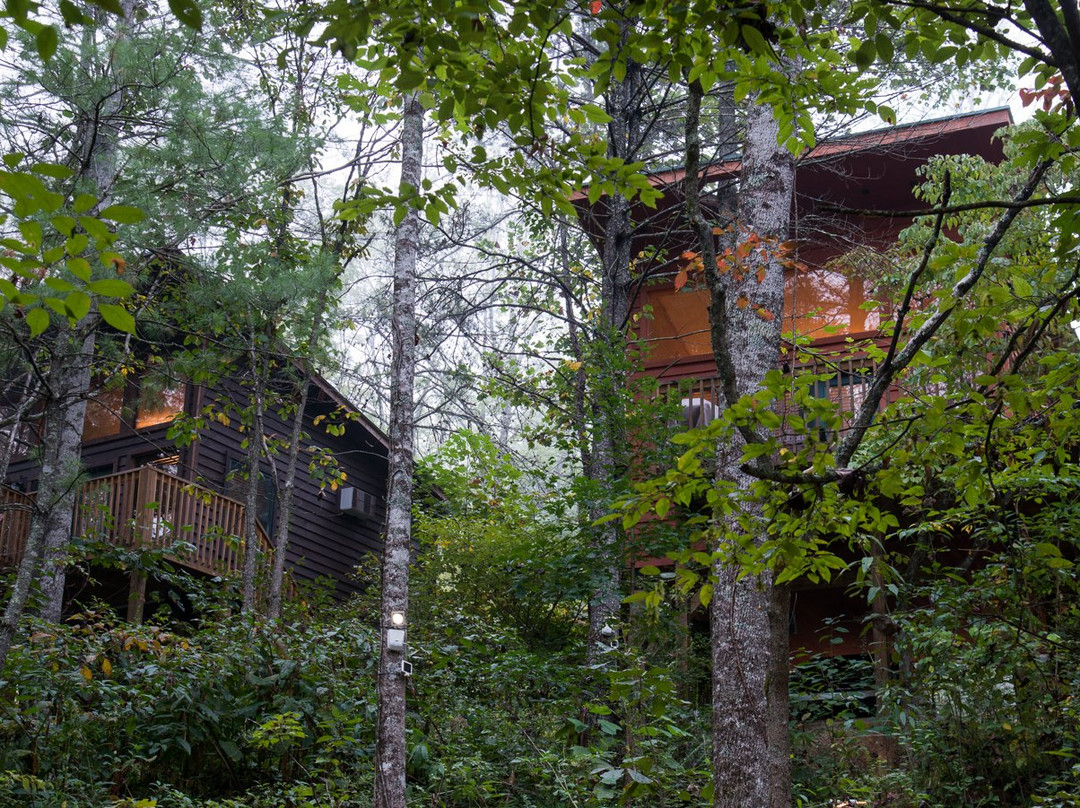 Rivers Edge Treehouse Resort