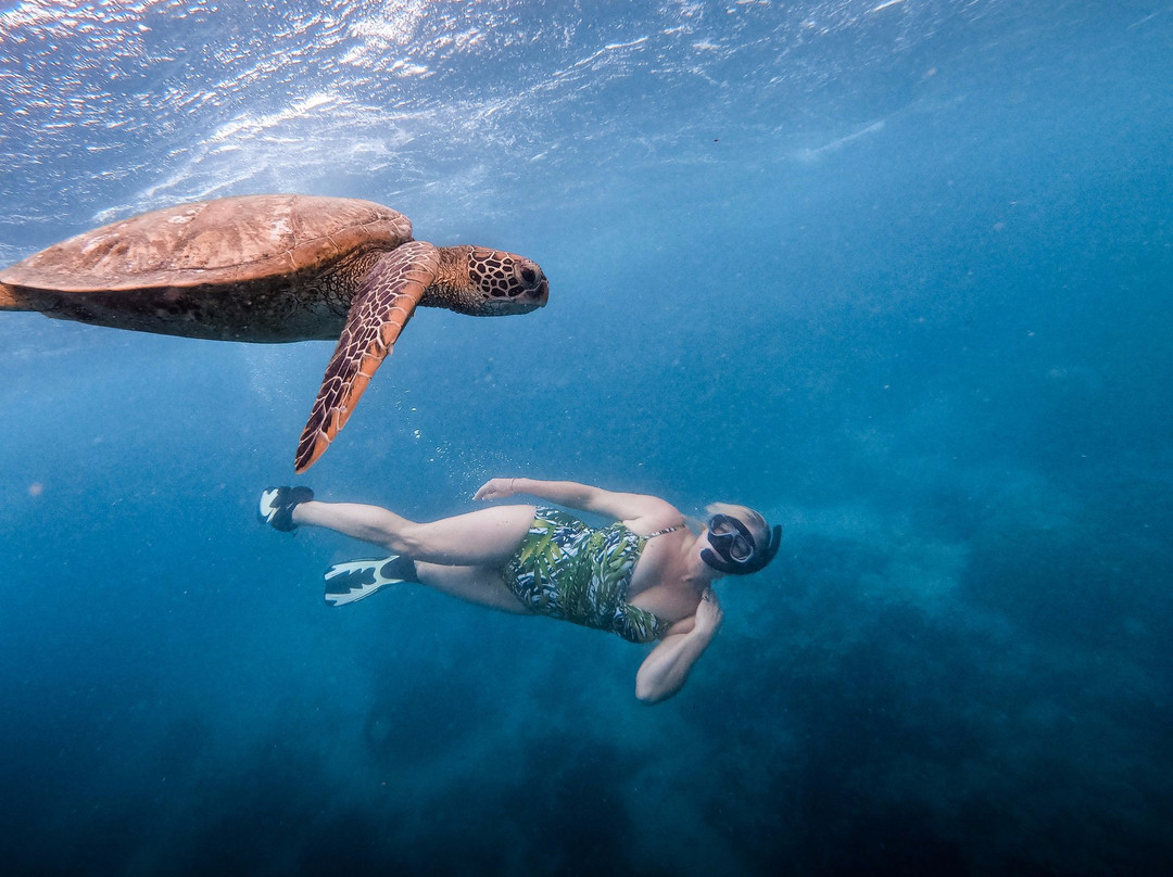 Snorkel Cook Islands景点图片