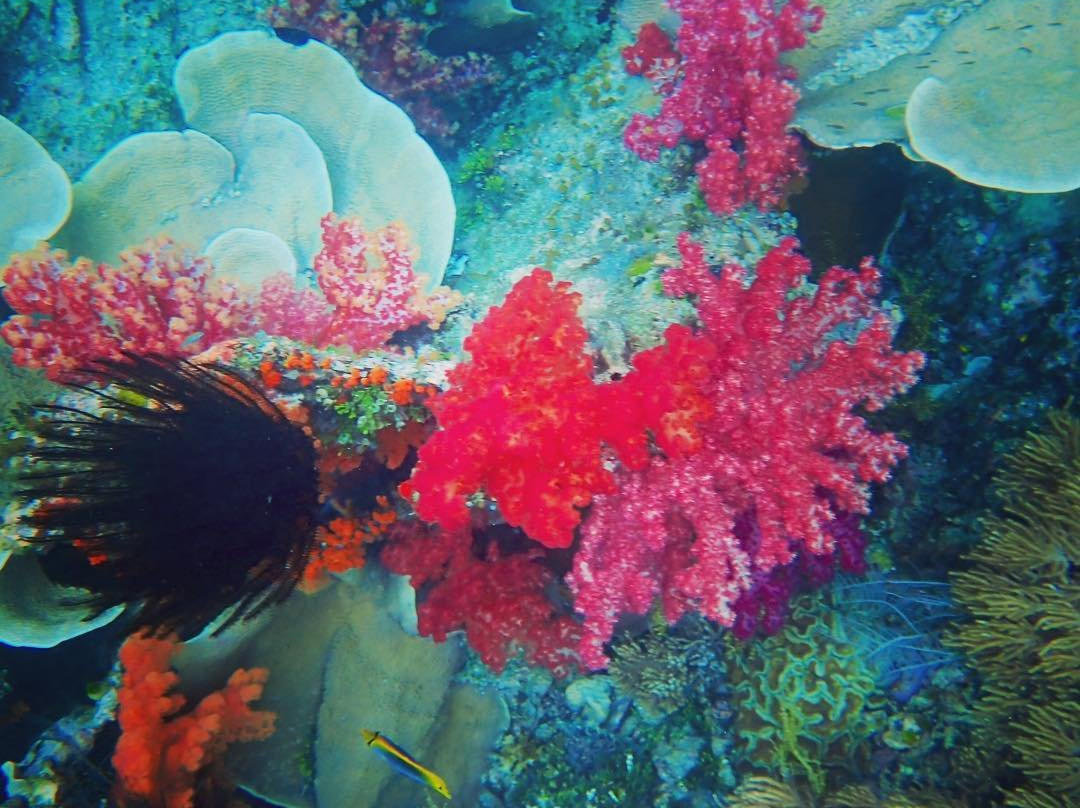 Indonesian Island Sail-Serangan必去景点