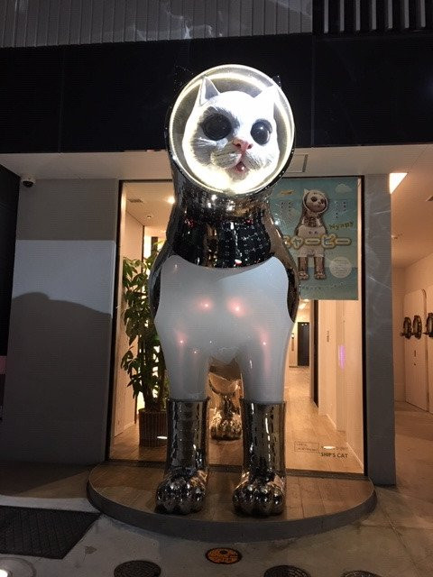 WeBase HAKATA Hostel主图