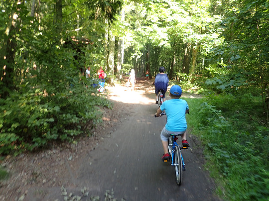 Pokoje Goscinne Drzewiec主图