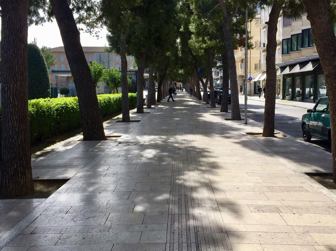 Mercato di Civitanova Marche-奇维塔诺瓦-马尔凯必去景点