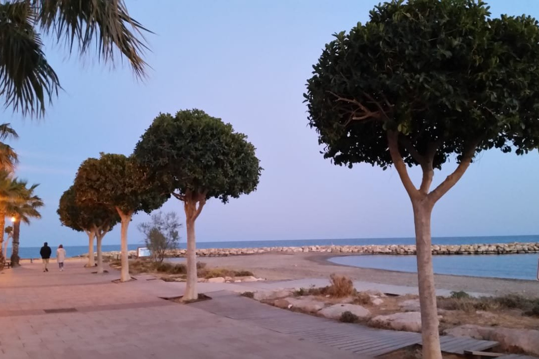 Platja de la Llosa景点图片