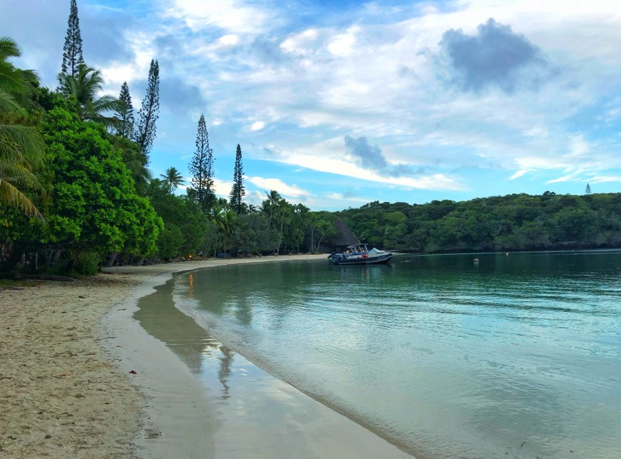 Gite NATAIWATCH主图