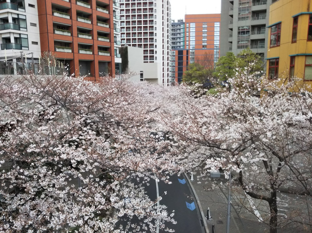 Roppongi Sakurazaka-Roppongi必去景点