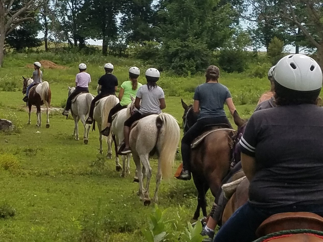 Wilderness Pursuit Horseback Adventures景点图片