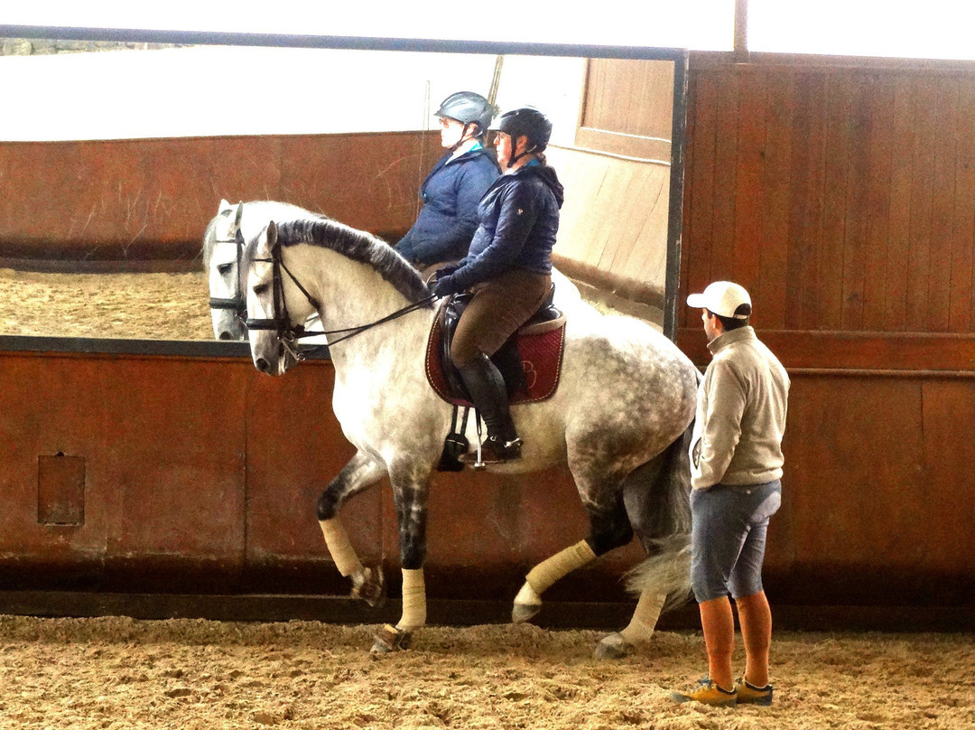 Lusitanos Riding Centre景点图片