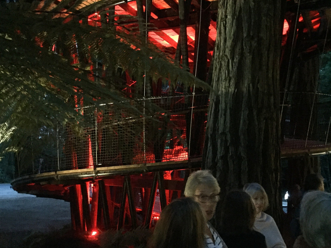 Redwoods Treewalk景点图片