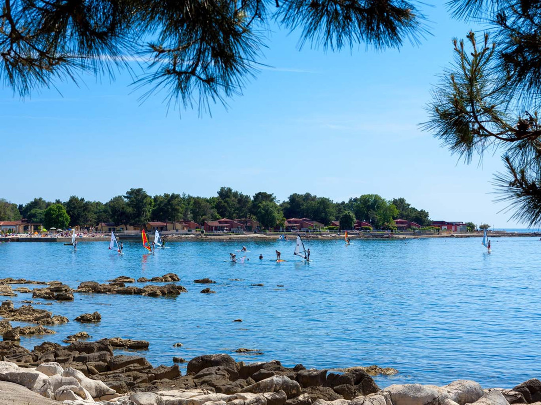 Istrian Villas Plava Laguna主图