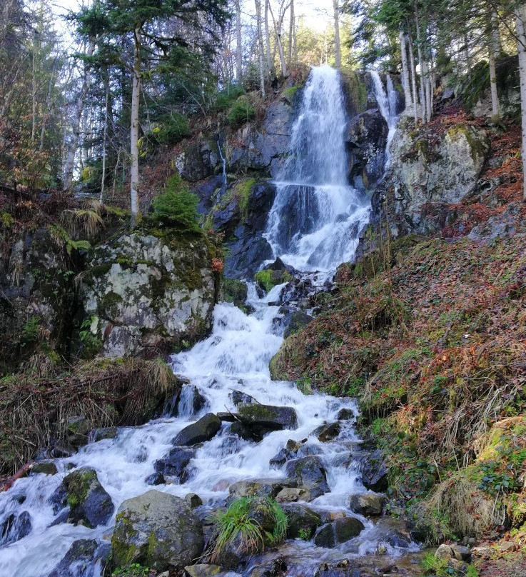 Cascade du Hohwald-Le Hohwald必去景点