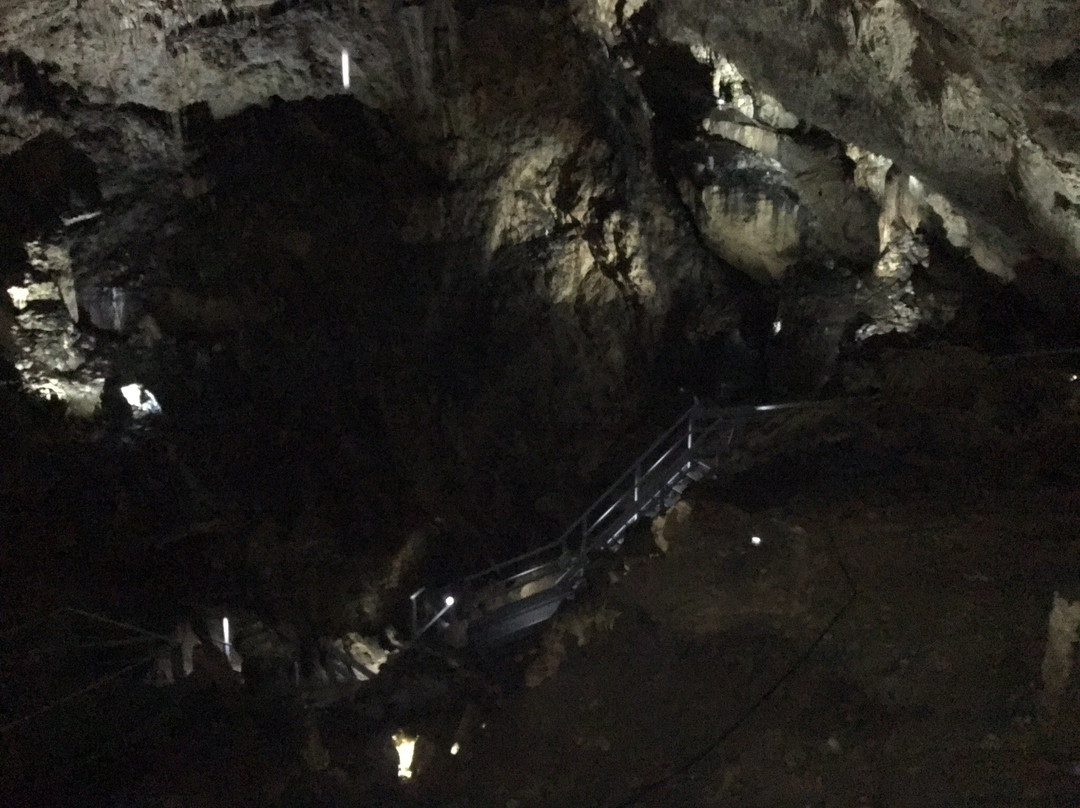 Valea Cetatii Cave景点图片