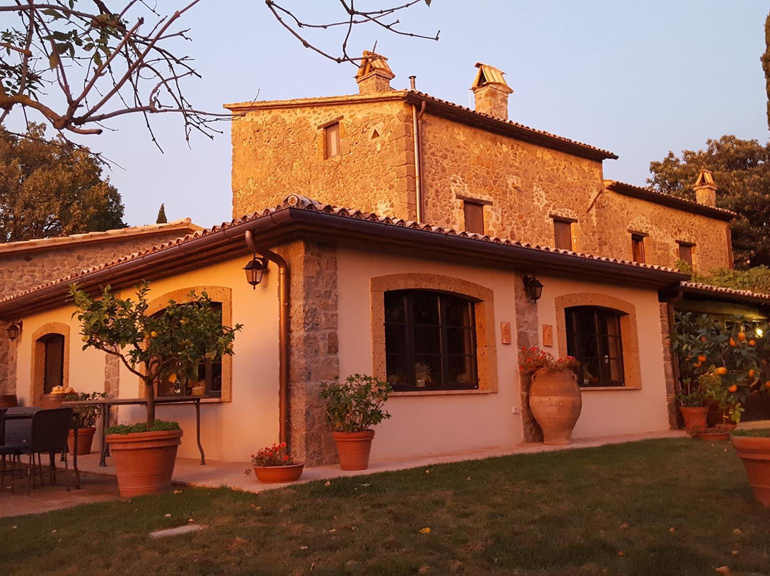 Viceno餐馆和美食-Ristorante dell'Agriturismo La Chiusetta