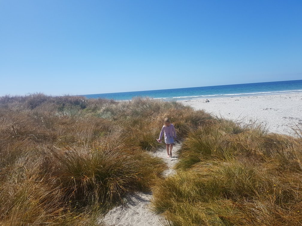 Long Beach-但尼丁必去景点