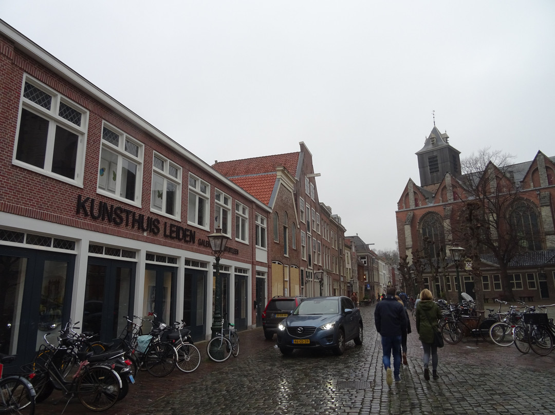 Kunsthuis Leiden景点图片