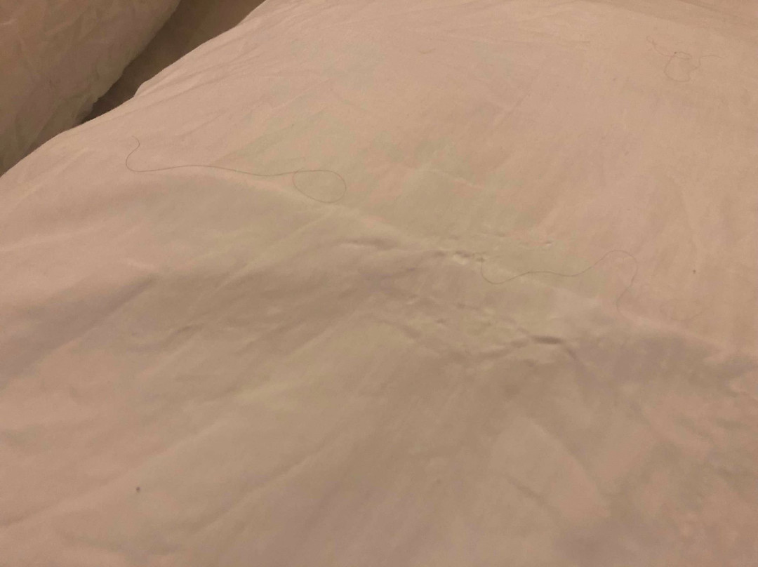 Hotel Bayahibe主图