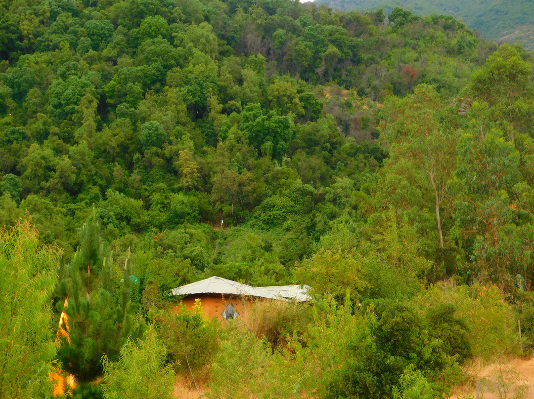 Casa Ecologica景点图片