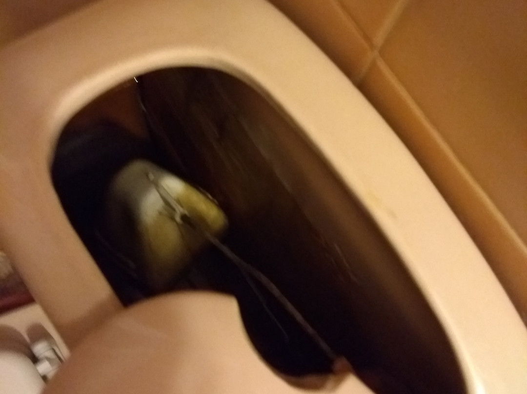 Hotel Del Lago主图