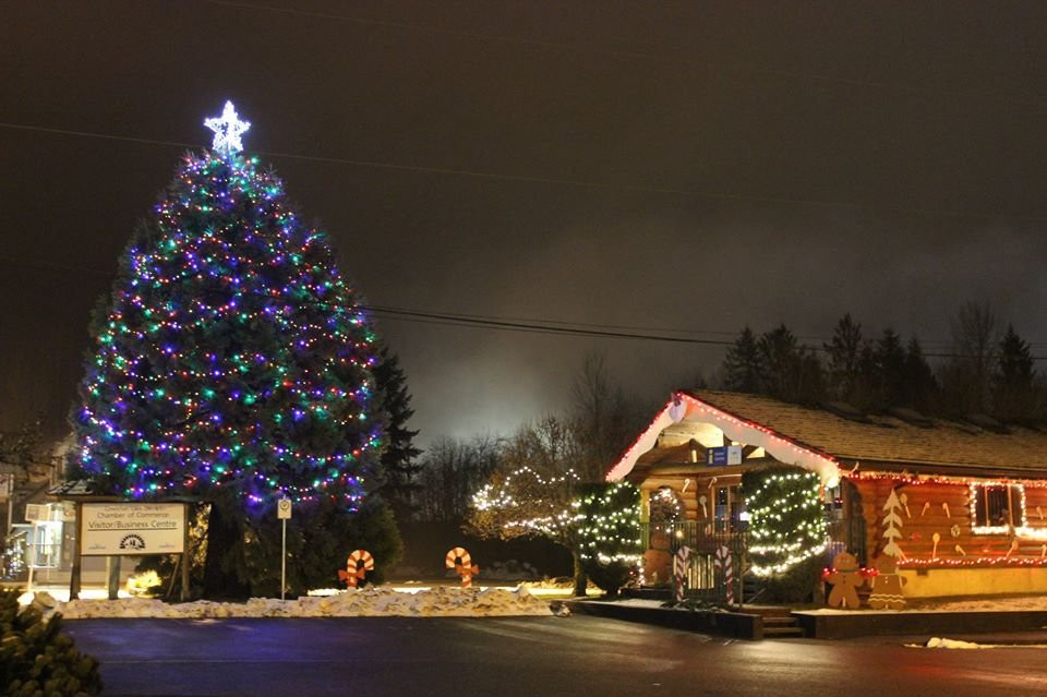 Cowichan Lake Visitor Services景点图片