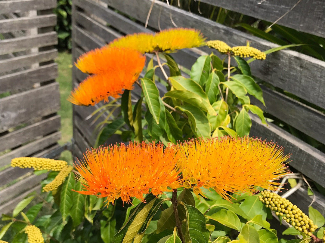 Hostal Moebius主图