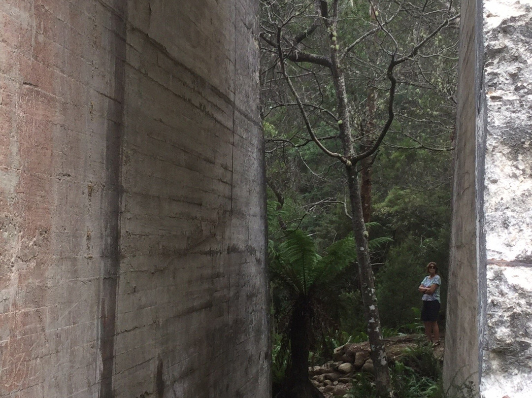 Mt Paris Dam-Branxholm必去景点