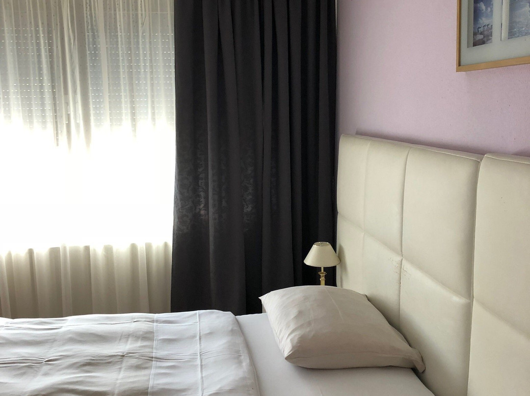 戴维德公园酒店主图