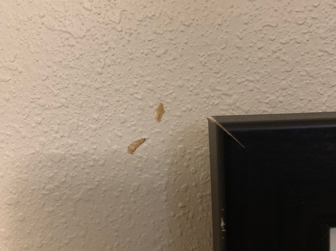 Comfort Suites Johnson City主图