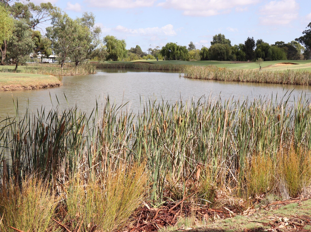 Rich River Golf Club-Moama必去景点