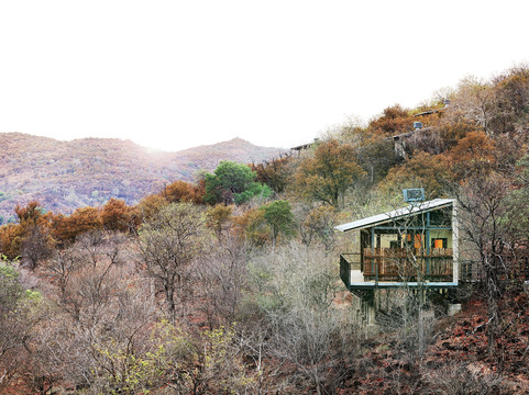 My African Dream Travel-开普敦中心区必去景点