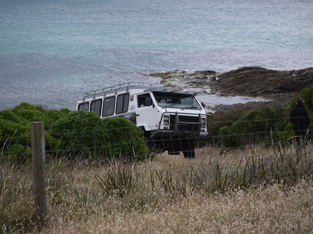 King Island Tours-King Island必去景点