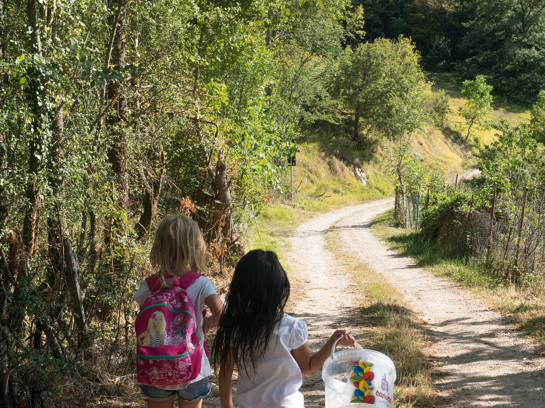The Black Truffle Lodge主图