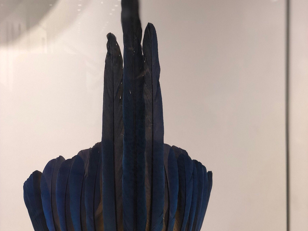 Museo Etnográfico景点图片