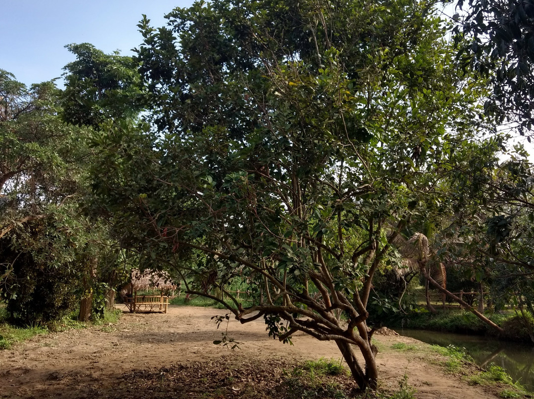 Kanta Elephant Sanctuary-清迈必去景点