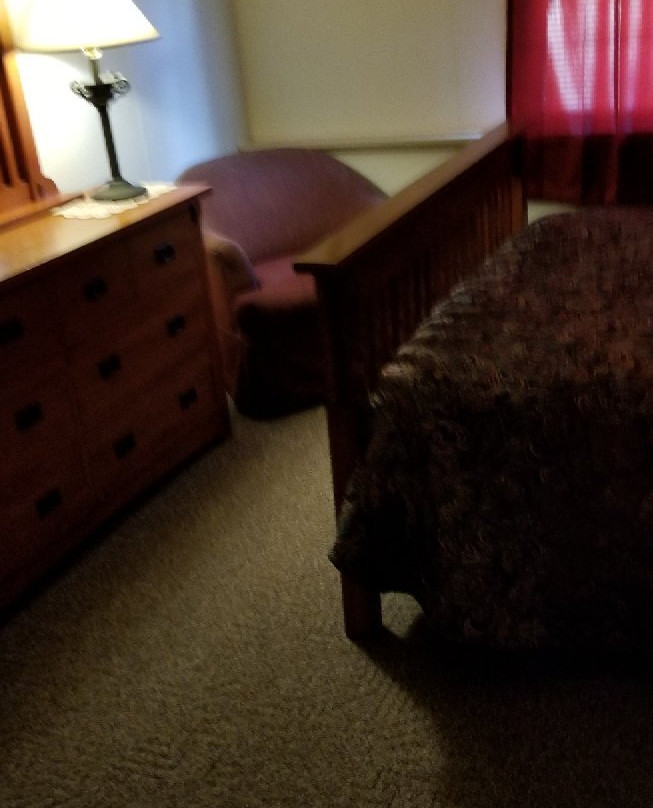 Foggy Mountain Lodge主图