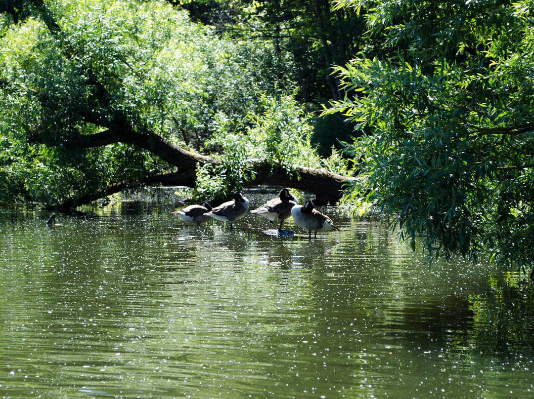 Schwentinetalfahrt-基尔必去景点