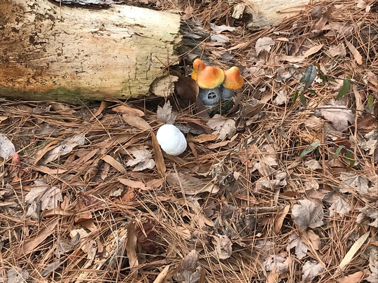 Wee Wonderland-美特尔海滩必去景点