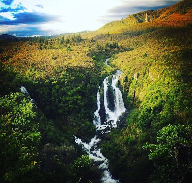 Waipunga Falls景点图片