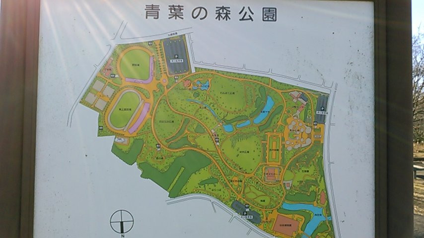 Natural History Museum and Institute-千叶市必去景点