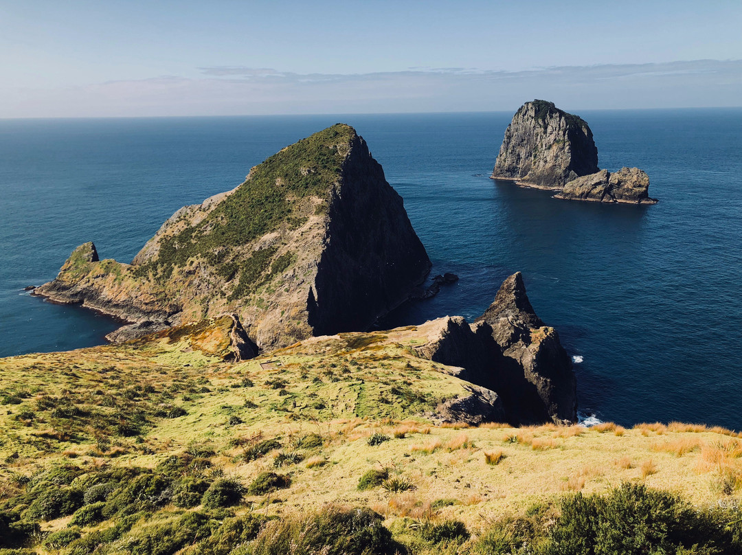 Cape Brett Walkway景点图片