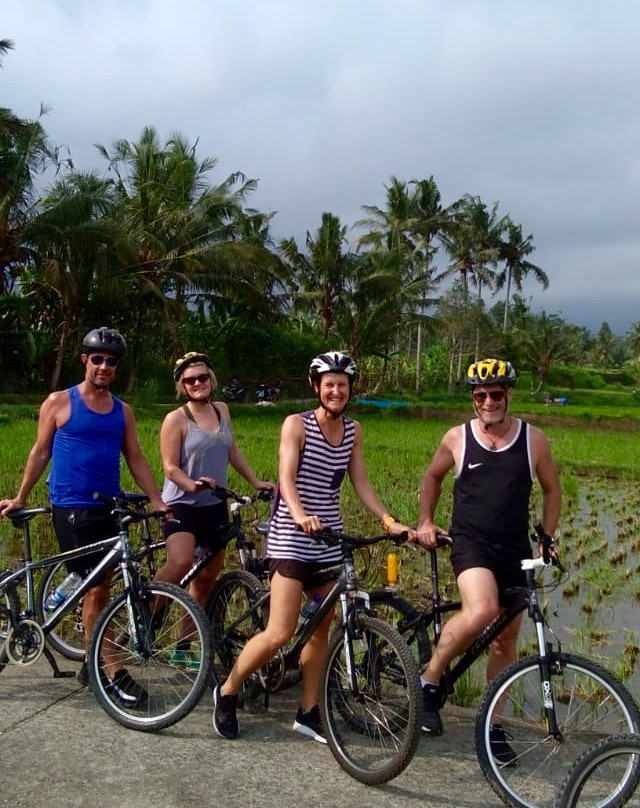 Bali Culture Tour - Private Tours-乌布必去景点