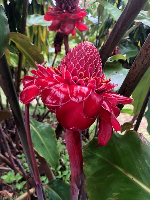 Takalana Bay Resort主图