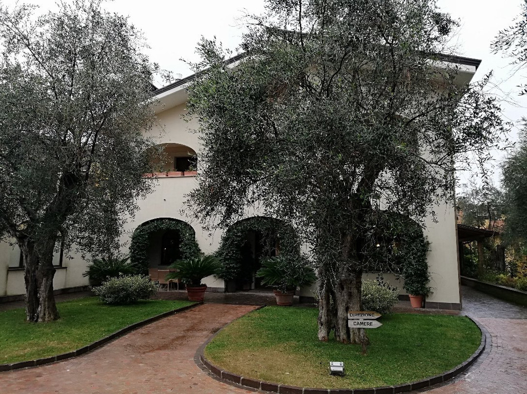 Il Casale della Stella主图
