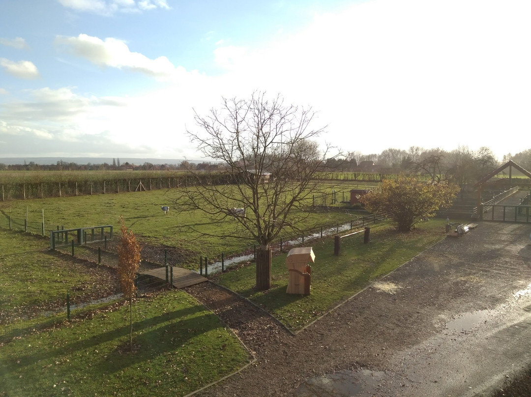 Hotel und Restaurant Bad Hiddenserborn主图