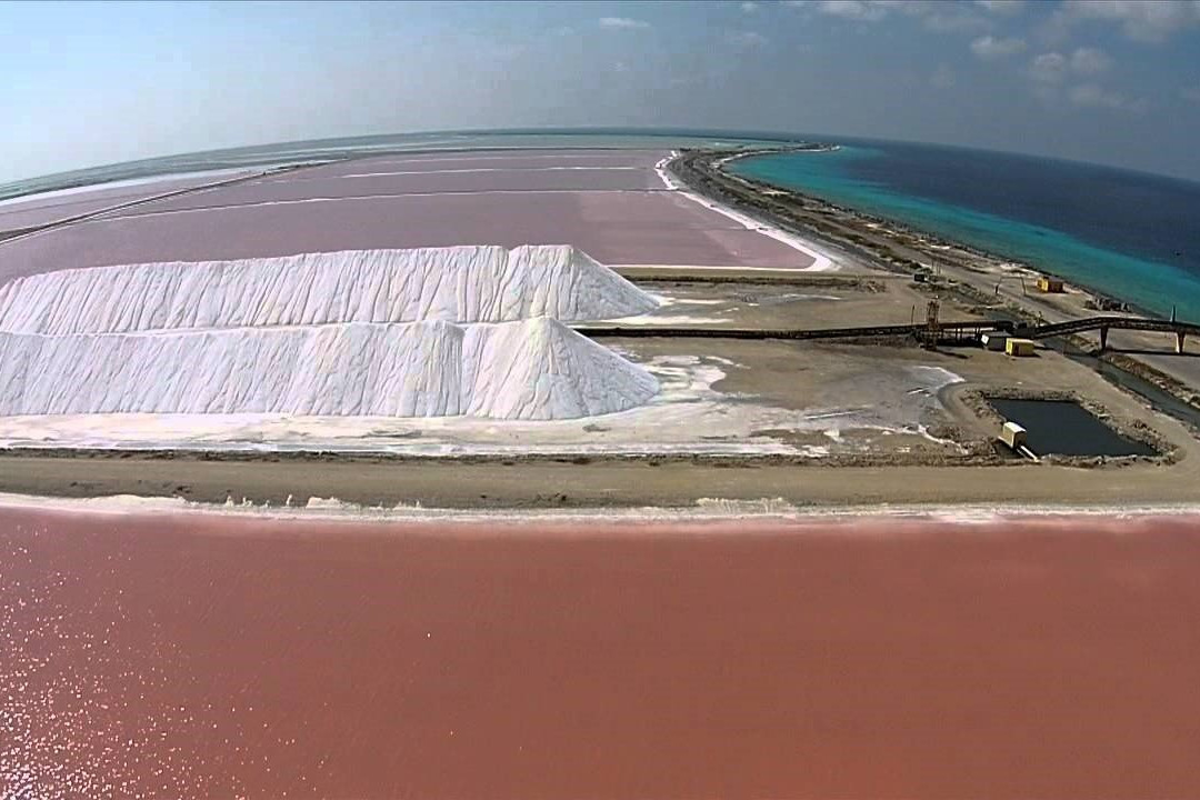 Paradise Tire Shop Tire Repair and Scooter Rental Bonaire-Kralendijk必去景点